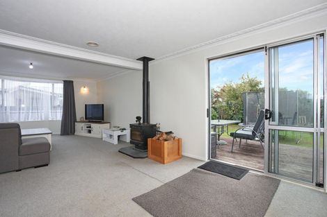 Photo of property in 12 Pryde Place, Feilding, 4702