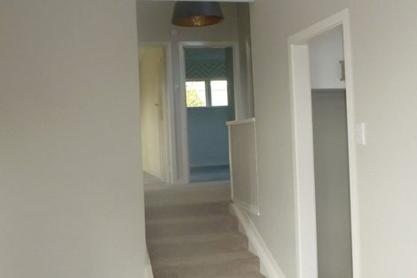 Photo of property in 60 Wakeman Street, Pahiatua, 4910