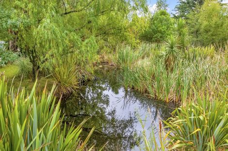 Photo of property in 161 Ward Road, Cheviot, 7381