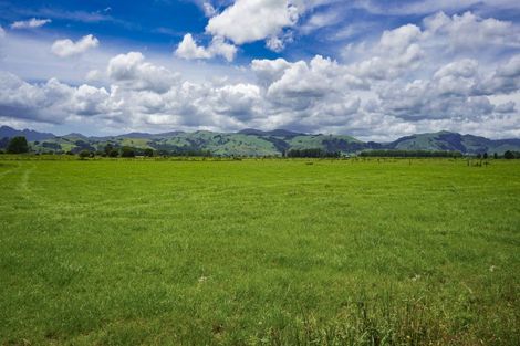 Photo of property in 306 Ferry Road, Waltham, Christchurch, 8011