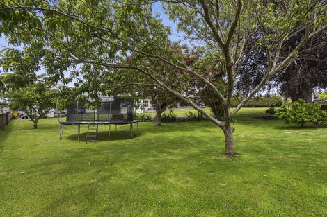 Photo of property in 3 Fitzherbert Street, Putaruru, 3411