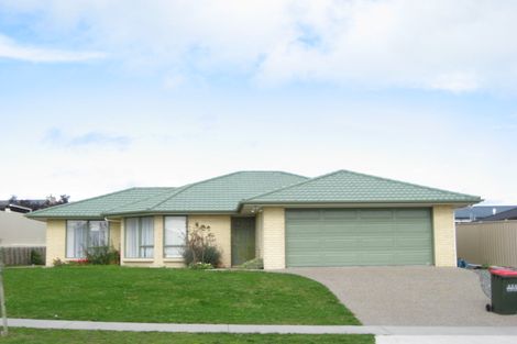Photo of property in 4 Olive Grove, Havelock North, 4130