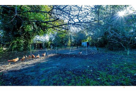 Photo of property in 12 Naylor Street, Waimate, 7924
