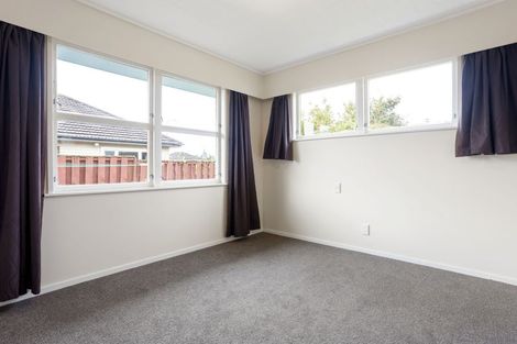 Photo of property in 163 Clarkin Road, Fairfield, Hamilton, 3214