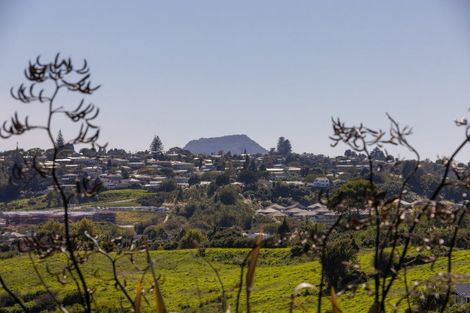 Photo of property in 20 Hallmark Rise, Bethlehem, Tauranga, 3110