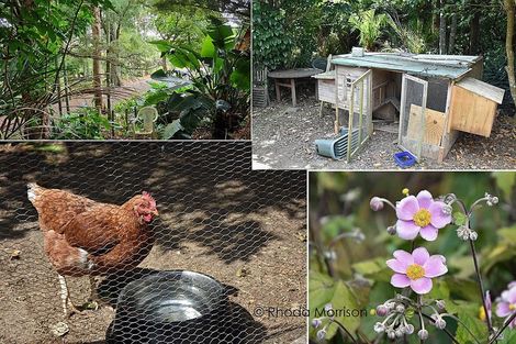 Photo of property in 45 Gorge Road, Maungaturoto, 0520