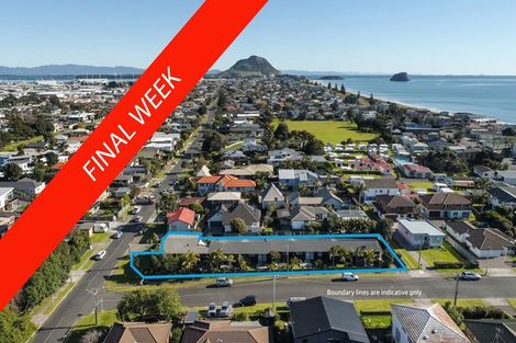Photo of property in 209 Valley Road, Mount Maunganui, 3116