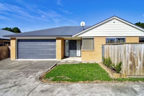 Photo of property in 85a Oxford Street, Lansdowne, Masterton, 5810