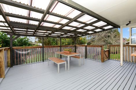 Photo of property in 84 Newcastle Road, Dinsdale, Hamilton, 3204