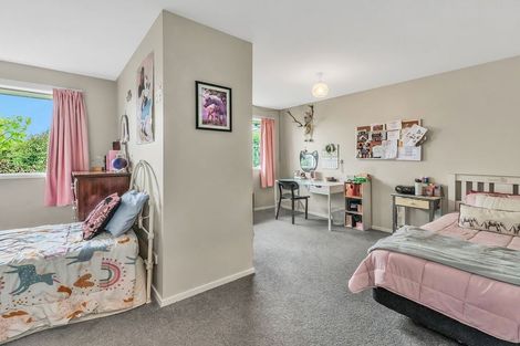 Photo of property in 3 Showground Place, Leeston, 7632