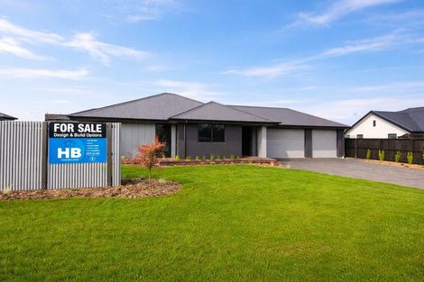 Photo of property in 23 Benn Street, Amberley, 7410