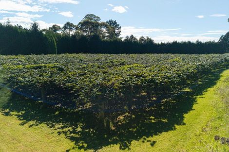 Photo of property in 93 Te Puna Quarry Road, Minden, Tauranga, 3179