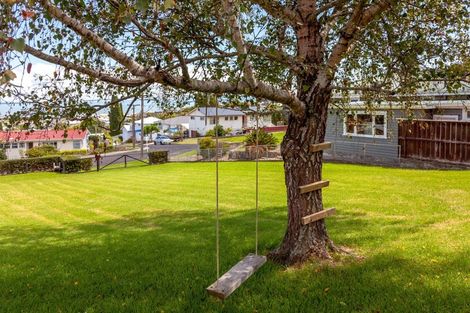 Photo of property in 308 Hill Street, Thames, 3500