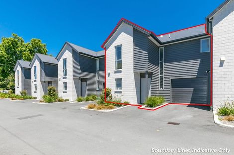 Photo of property in 73u4 Albert Street, Hamilton East, Hamilton, 3216