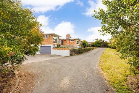 Photo of property in 197 Bridge Street, Bulls, 4818