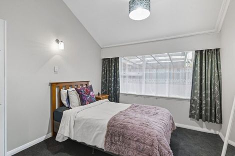 Photo of property in 127 Winchester Street, Levin, 5510