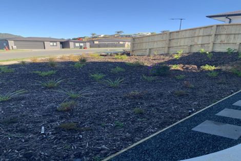 Photo of property in 9 Royal St Annes Drive, Te Kamo, Whangarei, 0112