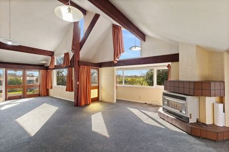 Photo of property in 101 Roslyn Road, Levin, 5510