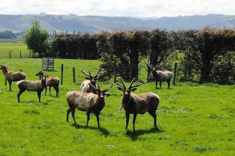 Photo of property in 68 Currie Road, Woodside, Outram, 9073