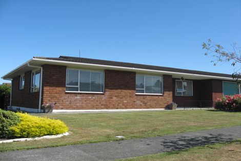 Photo of property in 19 Shelton Place, Feilding, 4702