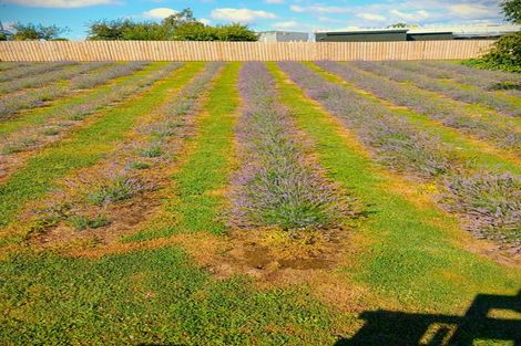 Photo of property in Ngunguru Ford Road, Kiripaka, Whangarei, 0173