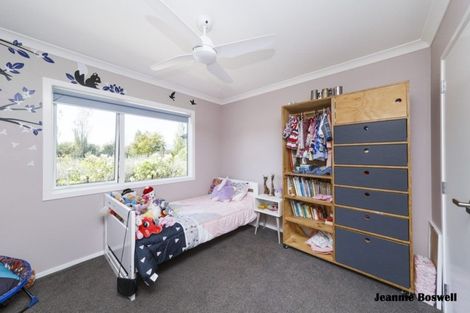 Photo of property in 248 Watershed Road, Bunnythorpe, Palmerston North, 4470