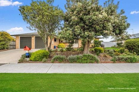 Photo of property in 14 Clifford Place, Amberley, 7410