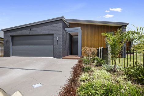 Photo of property in 7 Matau Lane, Ferndale, New Plymouth, 4310