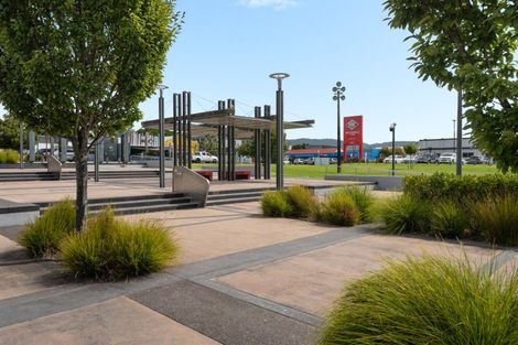 Photo of property in 16 King Street, Te Puke, 3119