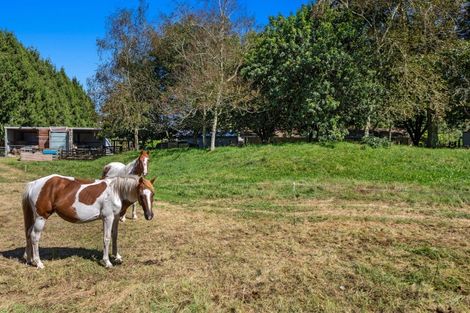 Photo of property in 529 Grieve Road, Te Teko, Whakatane, 3192