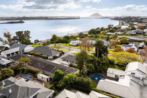 Photo of property in 86b Seventh Avenue, Tauranga, 3110