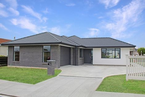 Photo of property in 93a Mcgregor Street, Milson, Palmerston North, 4414