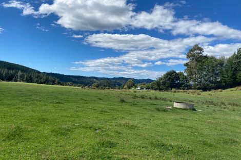 Photo of property in 1669 Tadmor-glenhope Road, Tapawera, Wakefield, 7096