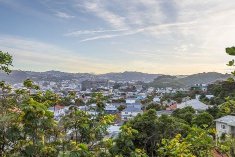Photo of property in 153u3 Owen Street, Newtown, Wellington, 6021