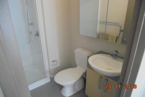 Photo of property in Dual Apartments, 108/142u Vivian Street, Te Aro, Wellington, 6011