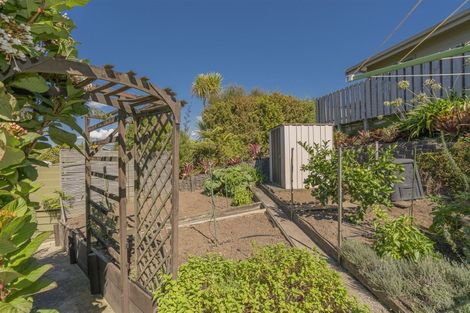 Photo of property in 62 Centennial Drive, Whitianga, 3510