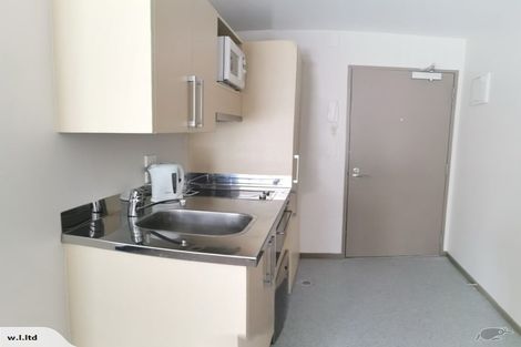 Photo of property in Dual Apartments, 108/142u Vivian Street, Te Aro, Wellington, 6011