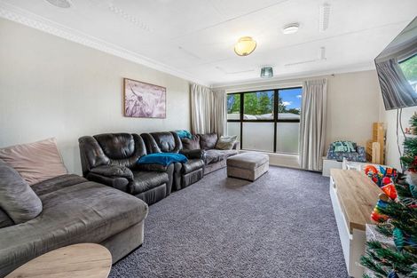 Photo of property in 11 Mcconnell Street, Mataura, 9712