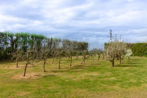 Photo of property in 832 State Highway 3, Marton, 4789