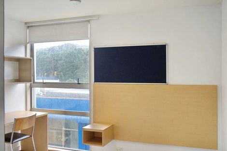 Photo of property in Hanson House, 7a/27 Hanson Street, Mount Cook, Wellington, 6021