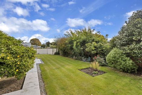 Photo of property in 24a Birdwood Avenue, Beckenham, Christchurch, 8023
