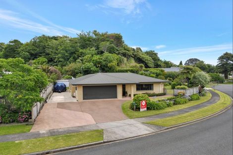 Photo of property in 38 Roto Street, Hurdon, New Plymouth, 4310