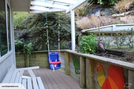 Photo of property in 46 Curtis Street, Northland, Wellington, 6012