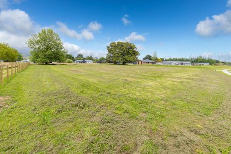 Photo of property in 800 Collinson Street, Pirongia, 3802