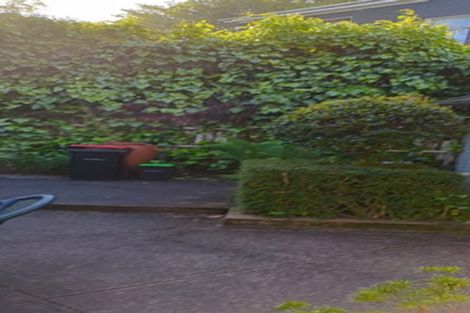 Photo of property in 663 George Street, North Dunedin, Dunedin, 9016