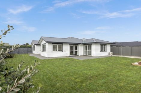 Photo of property in 49 Matariki Avenue, Frimley, Hastings, 4120