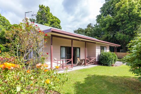 Photo of property in 187b Tamamutu Street, Taupo, 3330