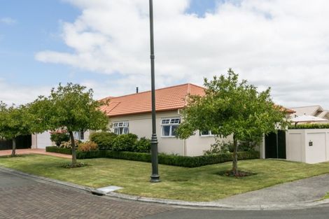 Photo of property in 41 Palmbrook Avenue, Havelock North, 4130