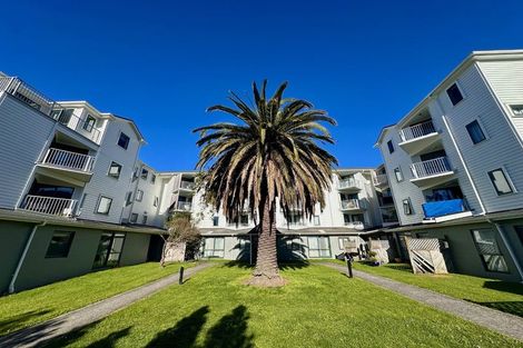 Photo of property in Palm Grove Apartments, 14/13d Palm Grove, Berhampore, Wellington, 6023