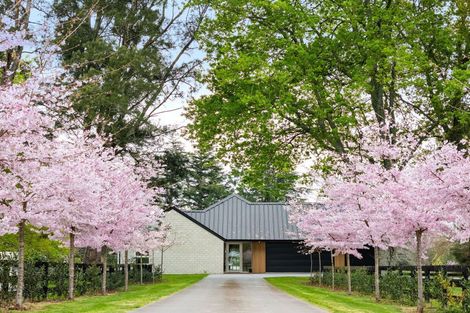 Photo of property in 11 Birchwood Lane, Tamahere, Hamilton, 3283
